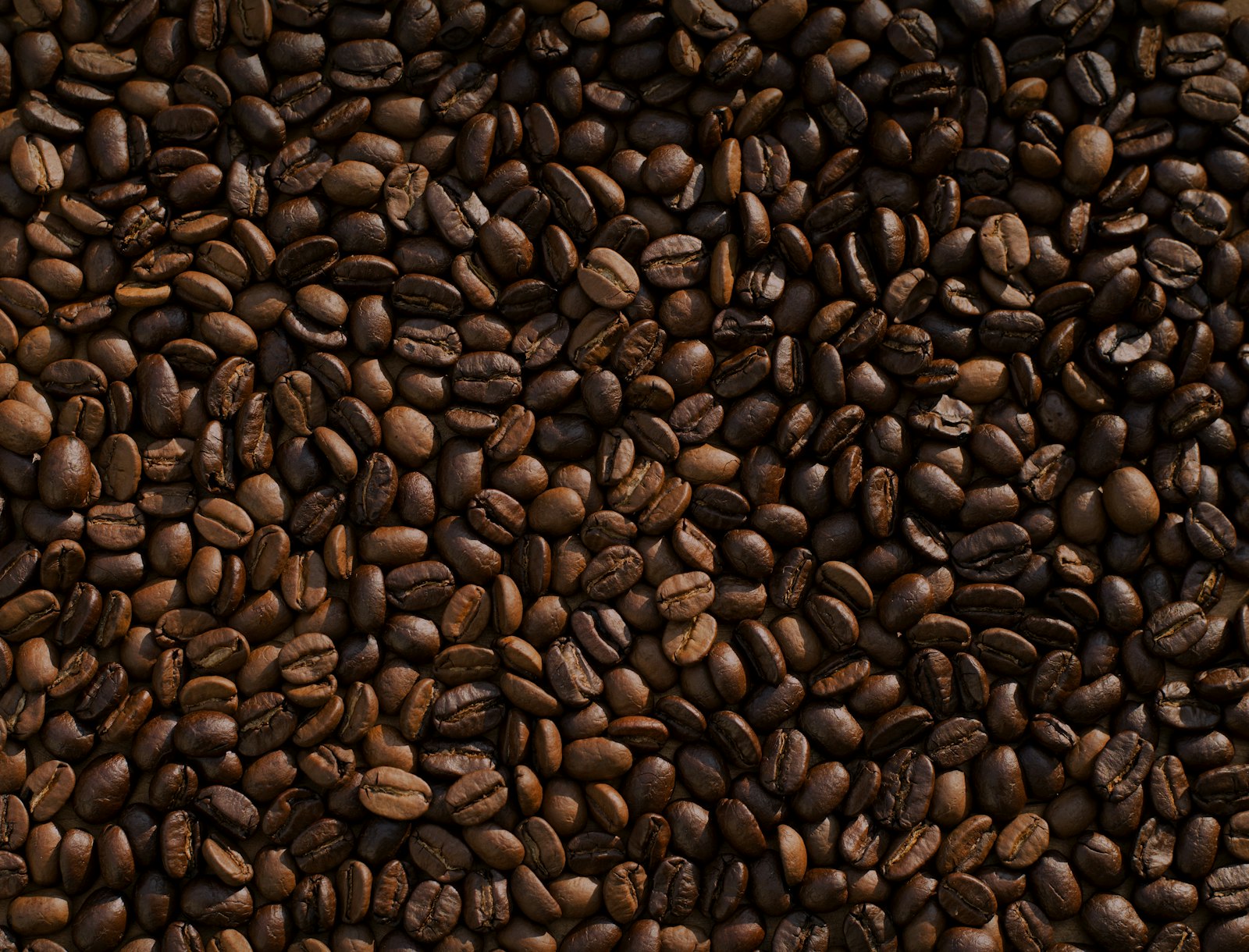 Landing Page Mộc Roastery cà phê rang xay